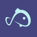 Koii.network